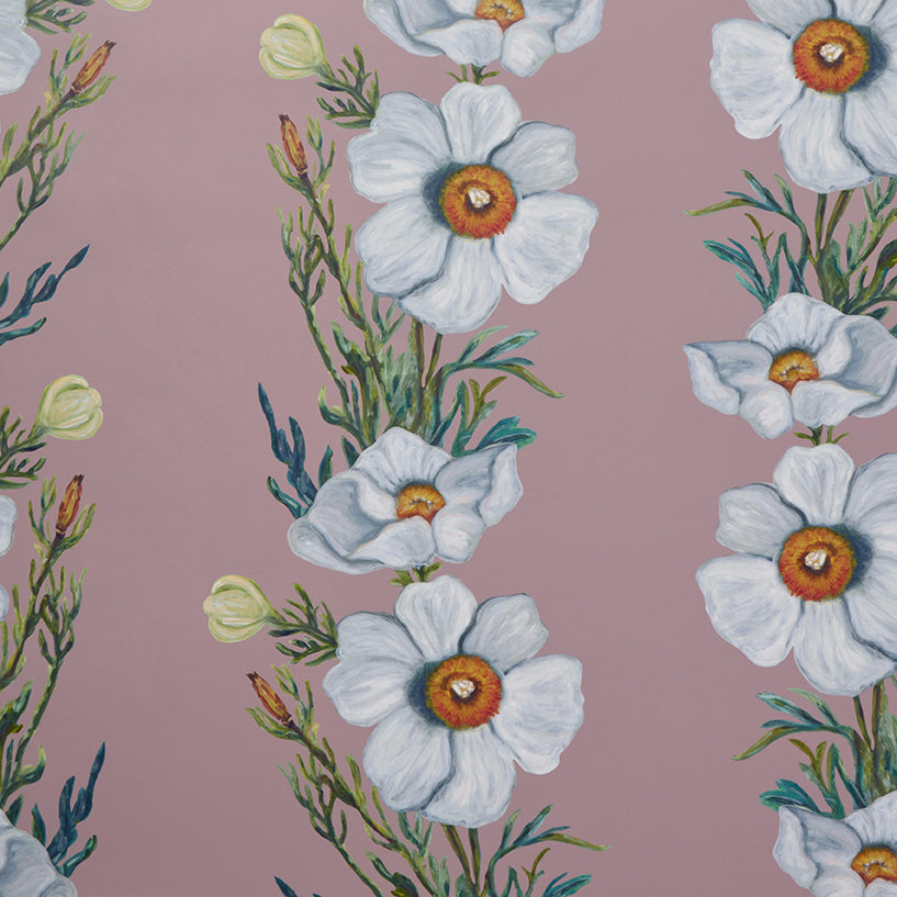 Ojai Matilija Blush Wallpaper