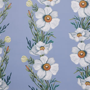 Ojai Matilija Cornflower Blue Wallpaper
